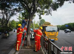 大风暴雨将至 杭州发布台风蓝色预警加强防御