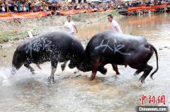 京师全球暑期学堂首届研修班举办